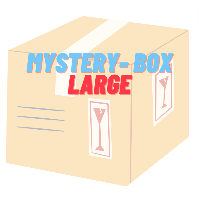 DelhiSnacks's Mystery Box (Large)